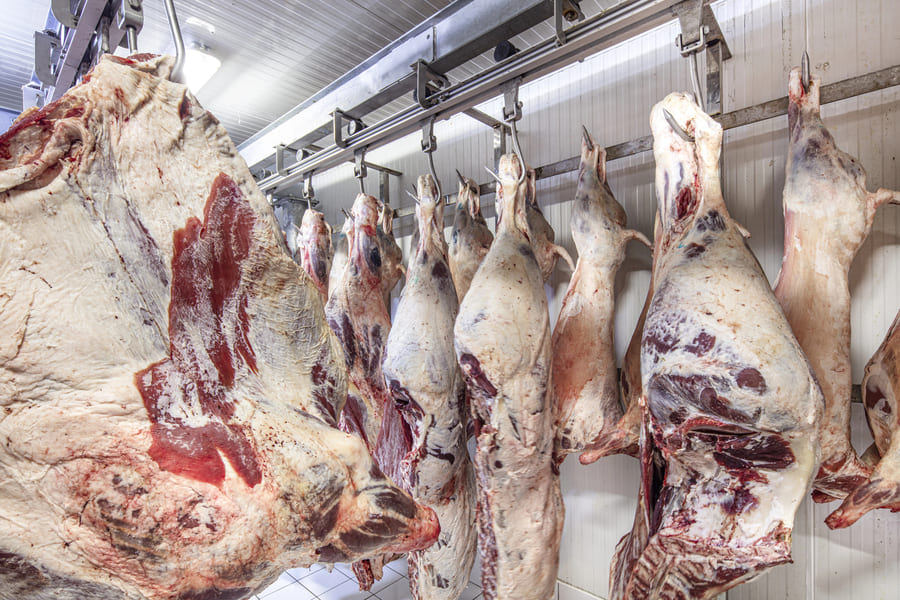 Tecnologia aplicada ao frigorífico para controlar custos e ganhar produtividade