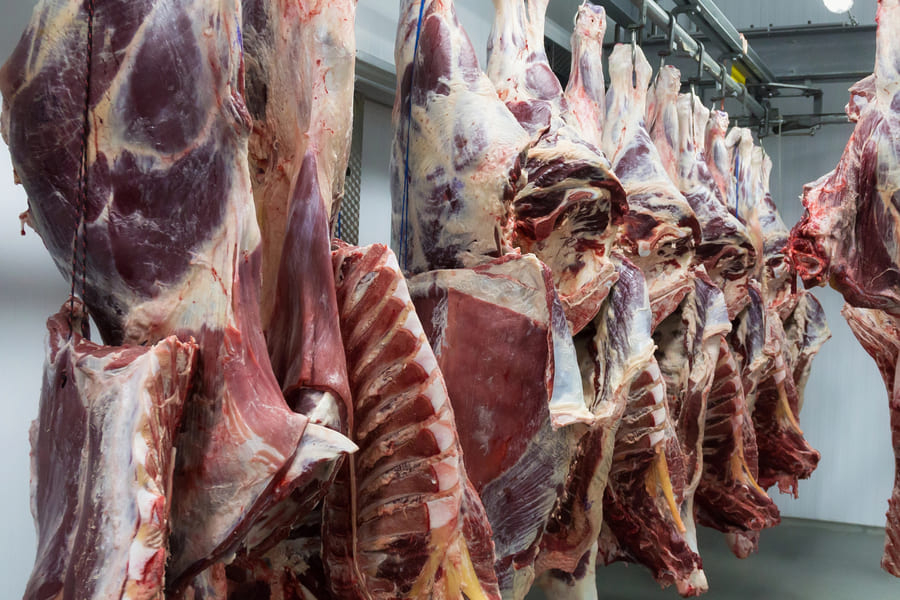 Gestão e automação aplicadas à rotina do frigorífico